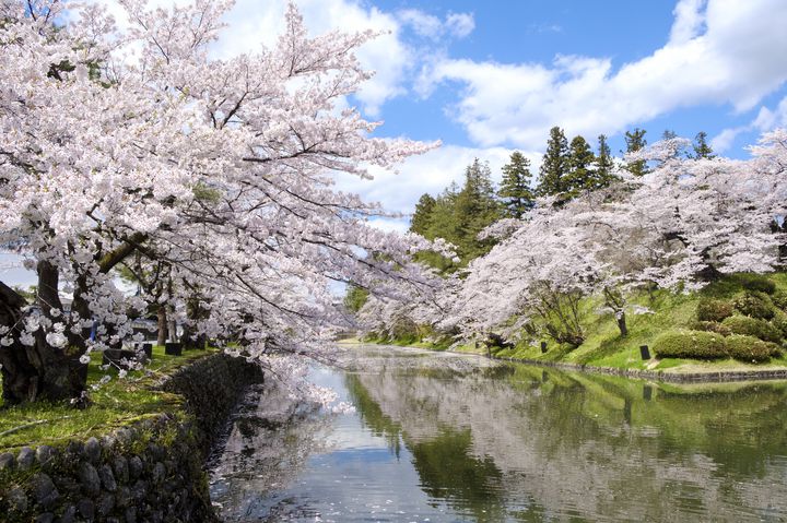 遅咲きの絶景をあなたに。日本全国にある「4月が見頃の桜名所」13選