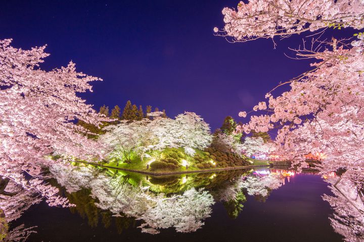 日桜さん専用確認 桜。さん専用 日桜さん専用確認 さくら♡ 2025年最新】ゼクス さくらの