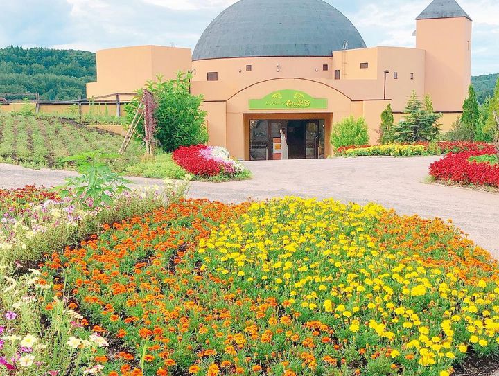 東北の春はこれから 東北地方の旅したくなる 春のお花畑スポット 10選 Retrip リトリップ