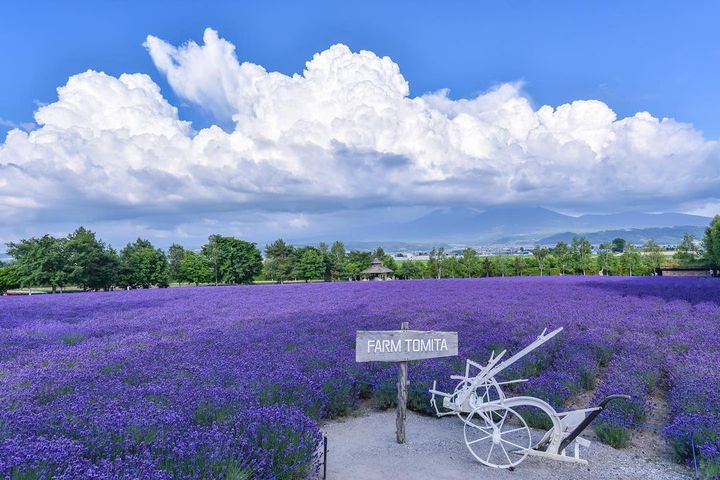 「また行こうね」と母娘で言える旅を！北海道旅行でおすすめのプラン＆スポット12選