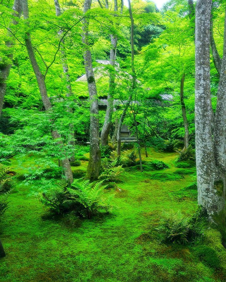 22年 忘れられない 夏に 夏の大人カップル旅 で行きたい旅行先まとめ Retrip リトリップ 22年 忘れられない 夏に 夏の大人カップル旅 で行きたい旅行先まとめ Retrip リトリップ