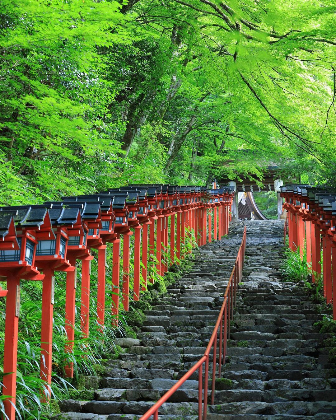 まさにフォトジェニック 緑の絶景に癒される 京都 夏 の名所13選 Retrip リトリップ