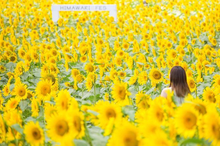 【デートの種類別】2023年夏の思い出デートプラン＆東京近郊のスポット14選