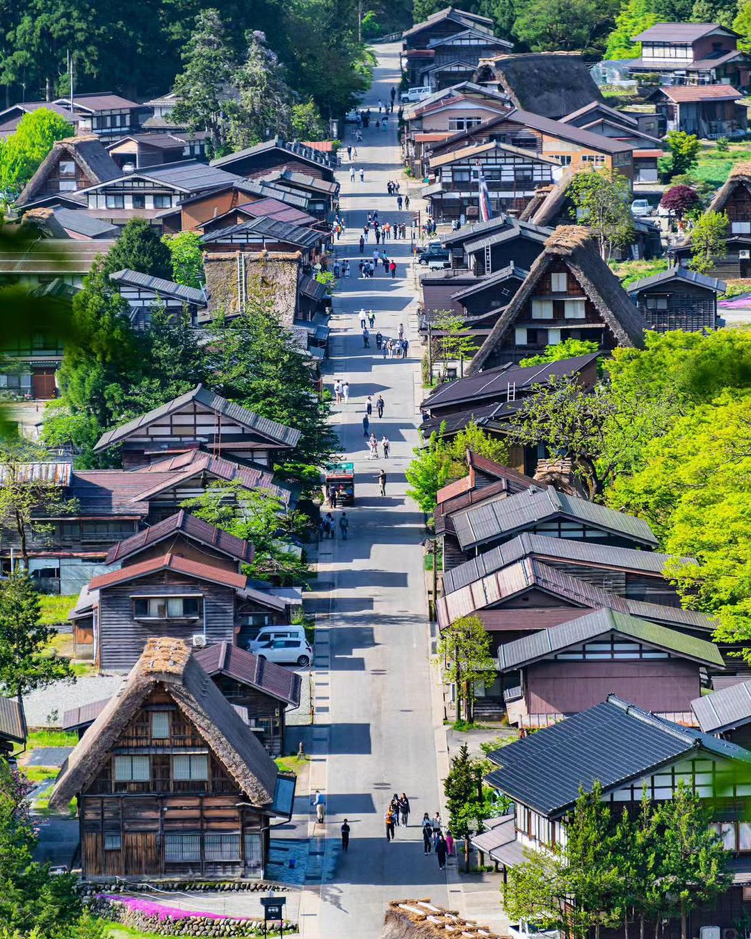 旅行 おすすめ 夏