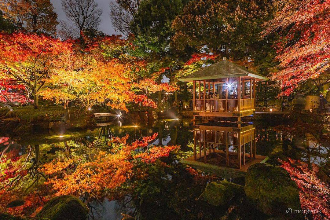 秋夜に色づく紅葉に恋をした 関東近郊の紅葉ライトアップ8選 21 Retrip リトリップ