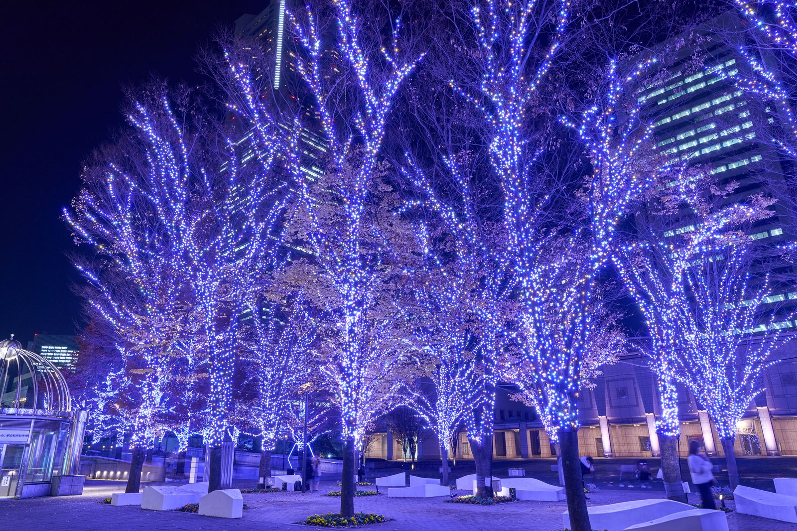 2人には寒さなんて関係ない 関東の アツアツデート ができる冬イベント11選 Retrip リトリップ 2人には寒さなんて関係ない 関東の アツアツデート ができる冬イベント11選 Retrip リトリップ