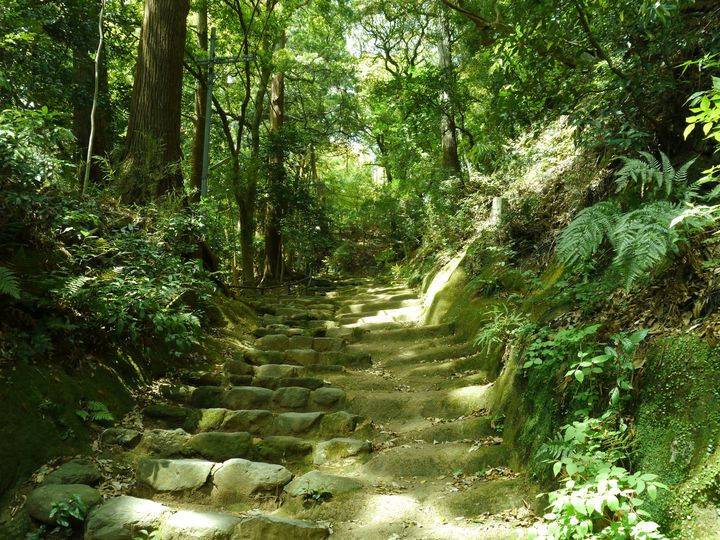 行くなら絶対にイマ 神奈川県 伊勢原 で自然を味わう7つのスポット Retrip リトリップ