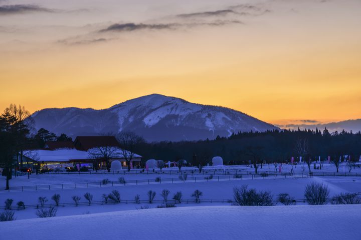 【終了】【開催中止】幻想的な冬の景色を。岡山県で「ひるぜん雪恋まつり」が開催