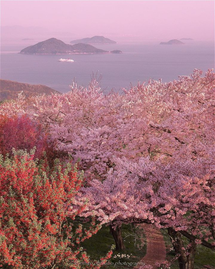 迷っても立ち止まるな。日本全国の“君に元気をくれる”春の絶景11選