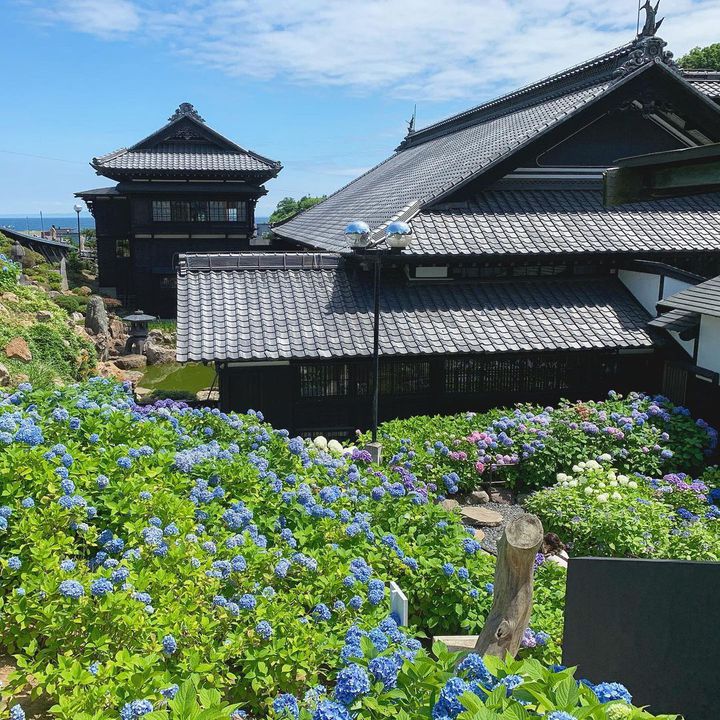 梅雨の訪れを感じて 北海道の紫陽花おすすめスポット7選 Retrip リトリップ