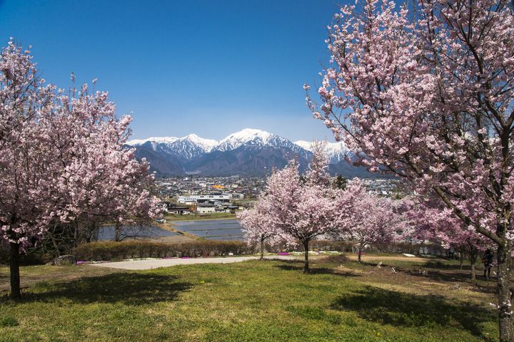 梅雨の訪れを感じて 北海道の紫陽花おすすめスポット7選 Retrip リトリップ