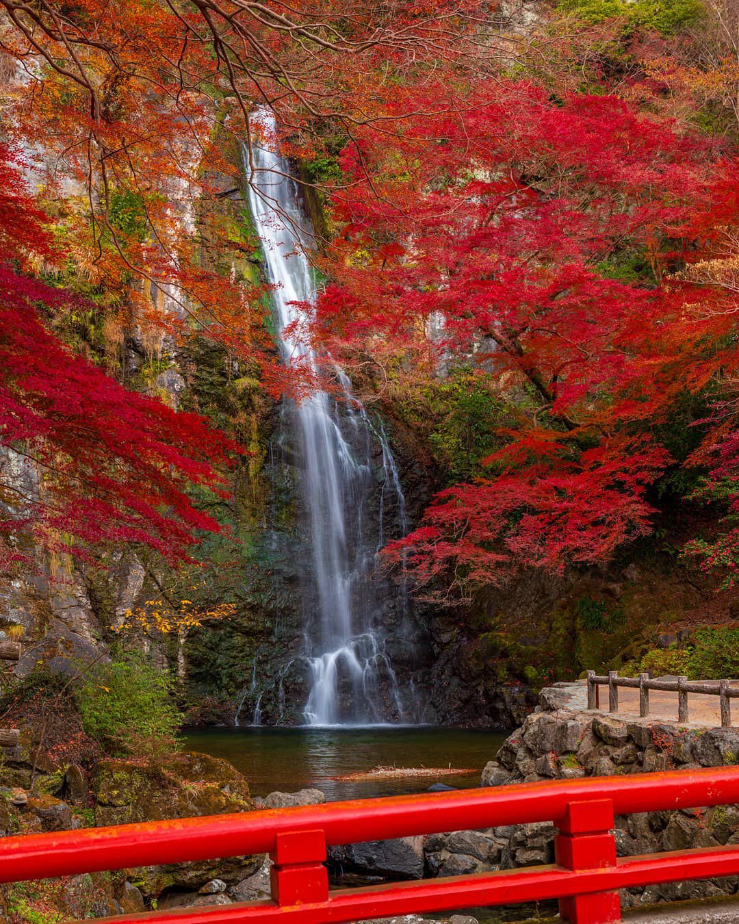 22最新 穴場 隠れ家はここ 大阪の人気自然 公園ランキングtop30 Retrip リトリップ