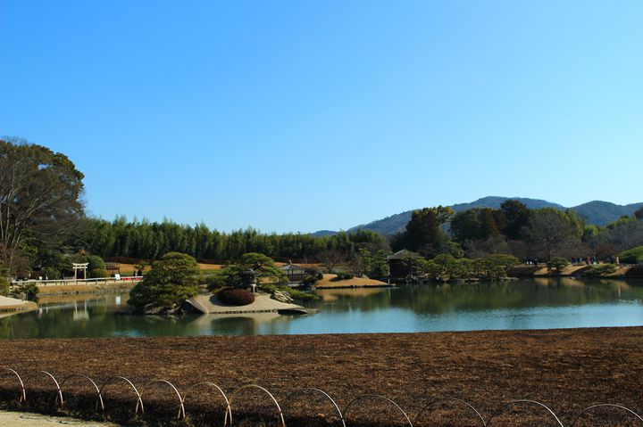 終了 三大庭園で楽しむ紅白梅 岡山後楽園 の梅の見頃はすぐそこに Retrip リトリップ