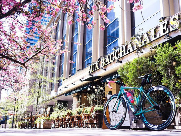 理想的すぎるお花見をしない？店内で桜が楽しめる都内のグルメスポットまとめ