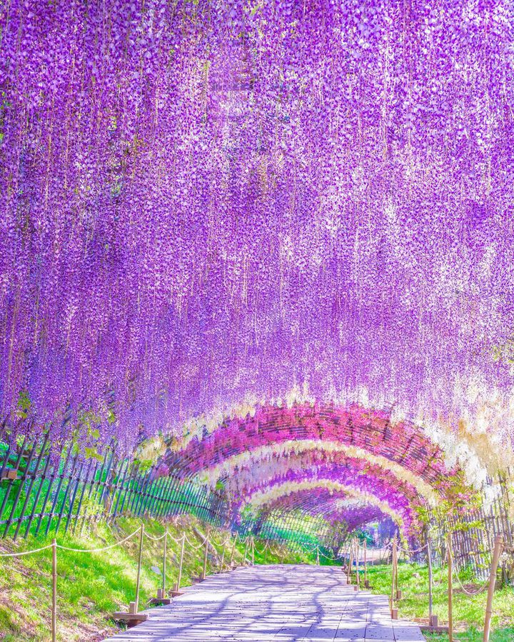 今年のGWはどこに行く？“GWにこそ見たい絶景のある”国内観光スポット11選