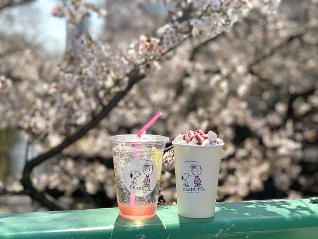 【終了】お花見にぴったり！“さくらドリンク”が「PEANUTS Cafe 中目黒」に登場！