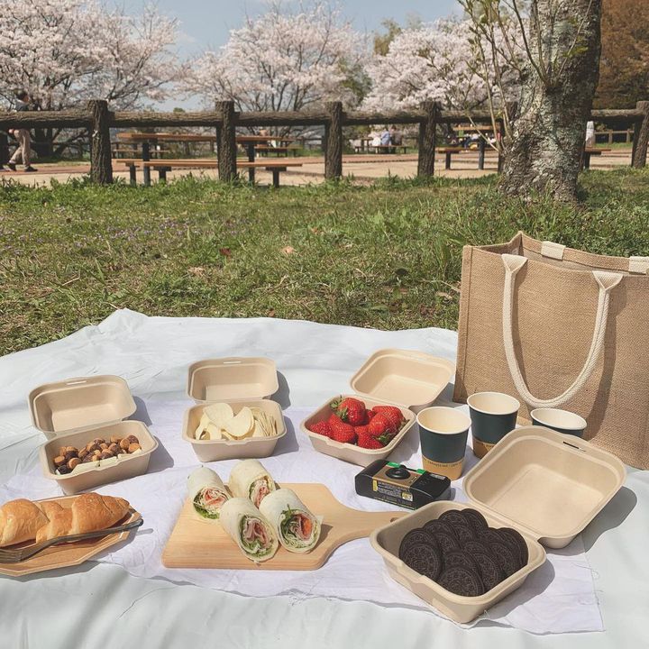 絵になるお花見と言えばコレ オシャピクでテイクアウトしたいグルメ集 Retrip リトリップ