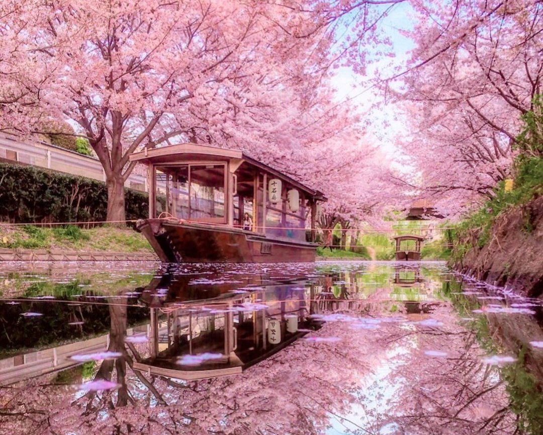 春旅には京都が最強でした 圧倒的に映える京都の観光スポットlist Retrip リトリップ