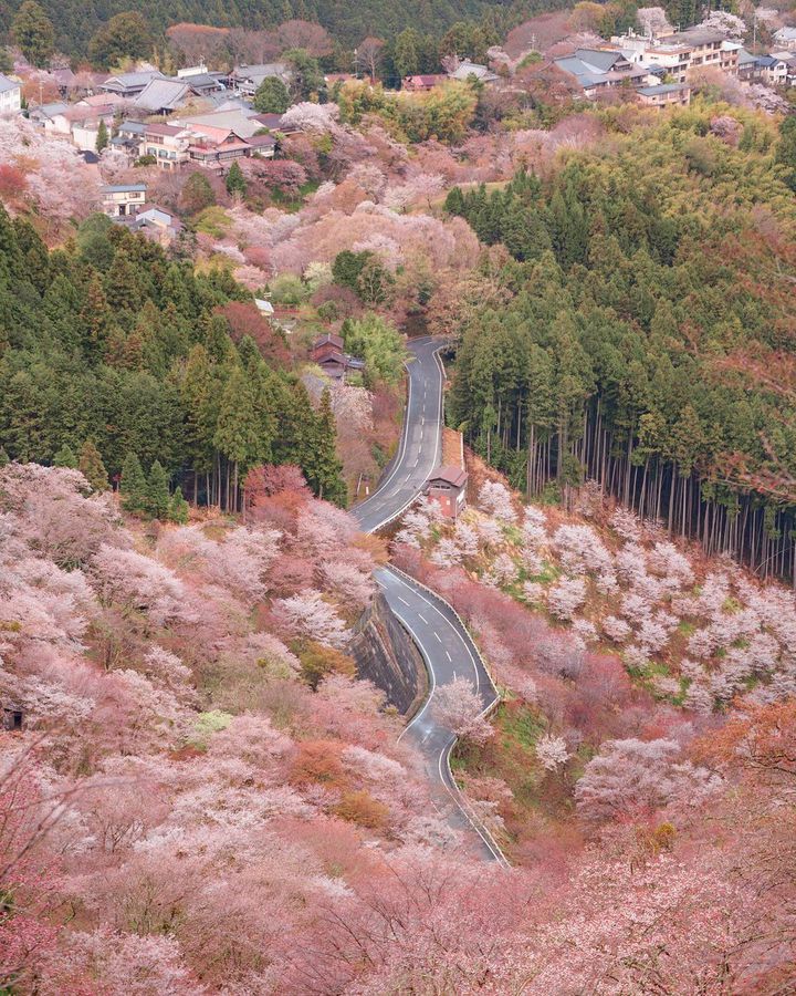 まだ見ぬ世界を見に行こう ドライブの目的地にぴったりな関西の春絶景spot Retrip リトリップ