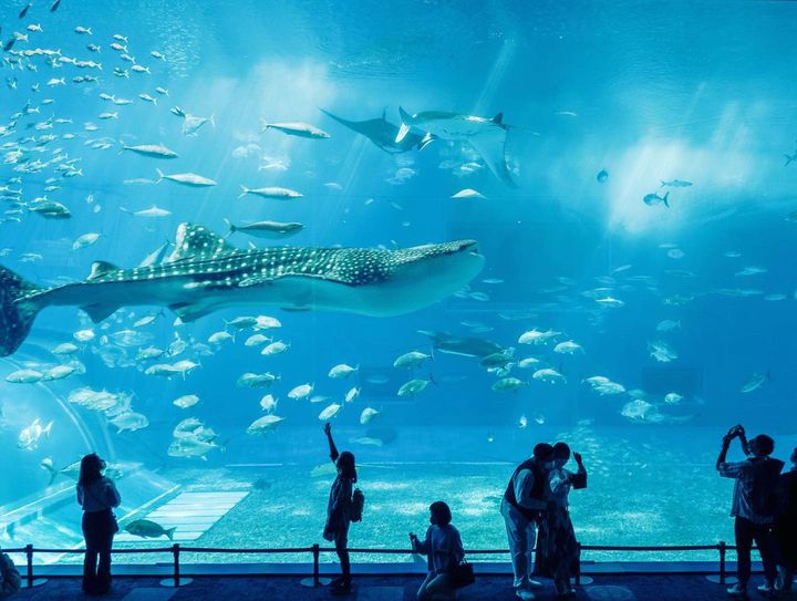 沖縄の満喫プラン！那覇周辺を3泊4日で巡って最高の夏を♪