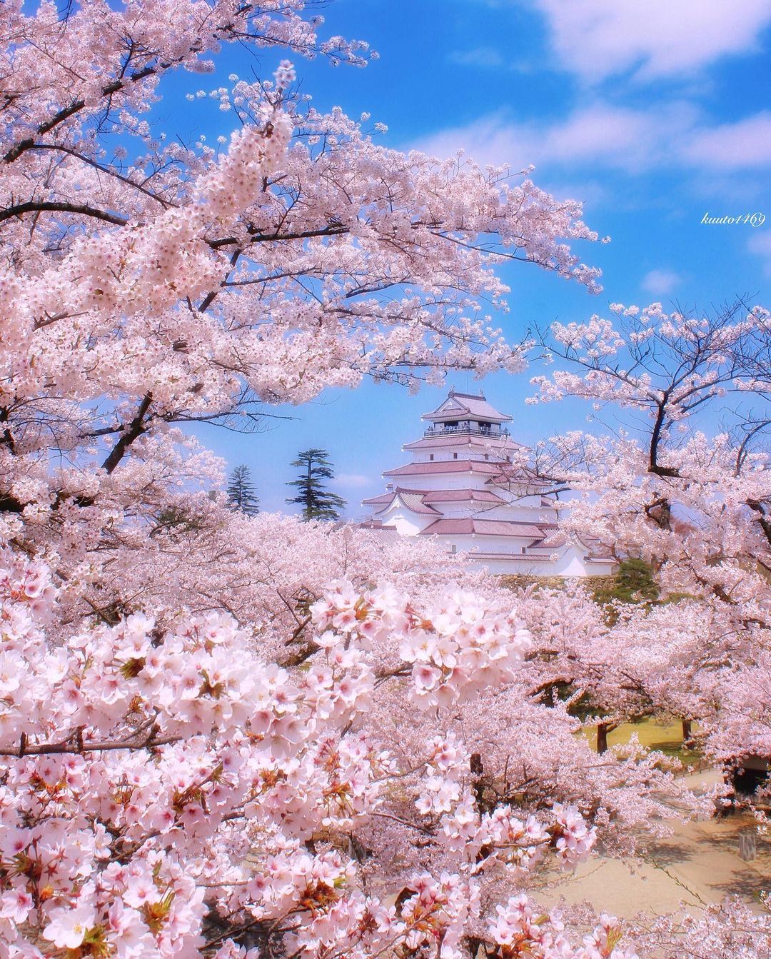 130831ffe0e24e-cd60-4218-916a-