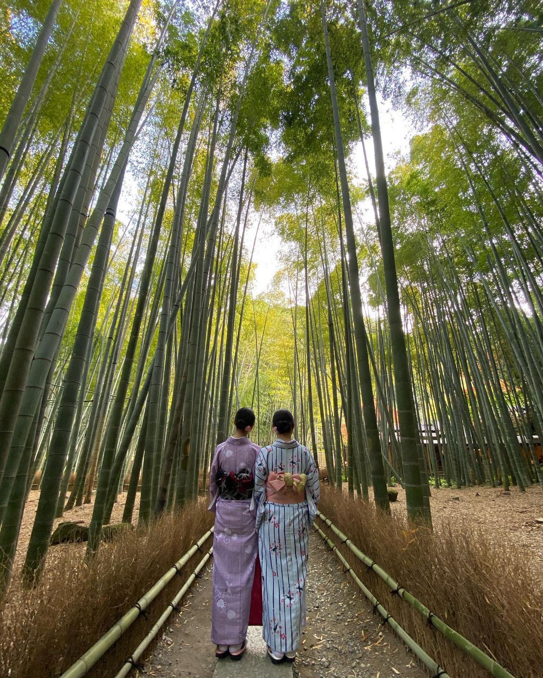 女子の好きがつまってる！“鎌倉・江ノ島”日帰り女子旅プラン伝授します