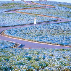 死ぬまでに一度は行きたい 美しすぎる世界の絶景 花畑 18選 Retrip リトリップ