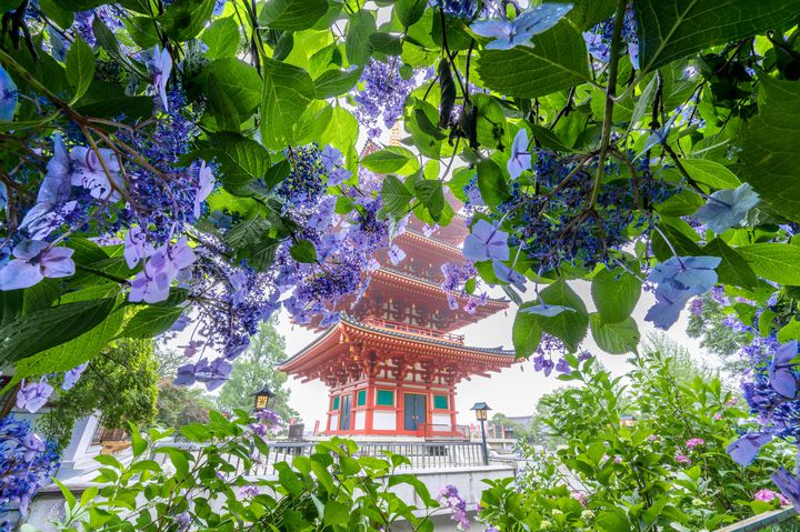 今が旬の紫陽花の絶景も Retrip日本の今週のおすすめスポット7選 Retrip リトリップ
