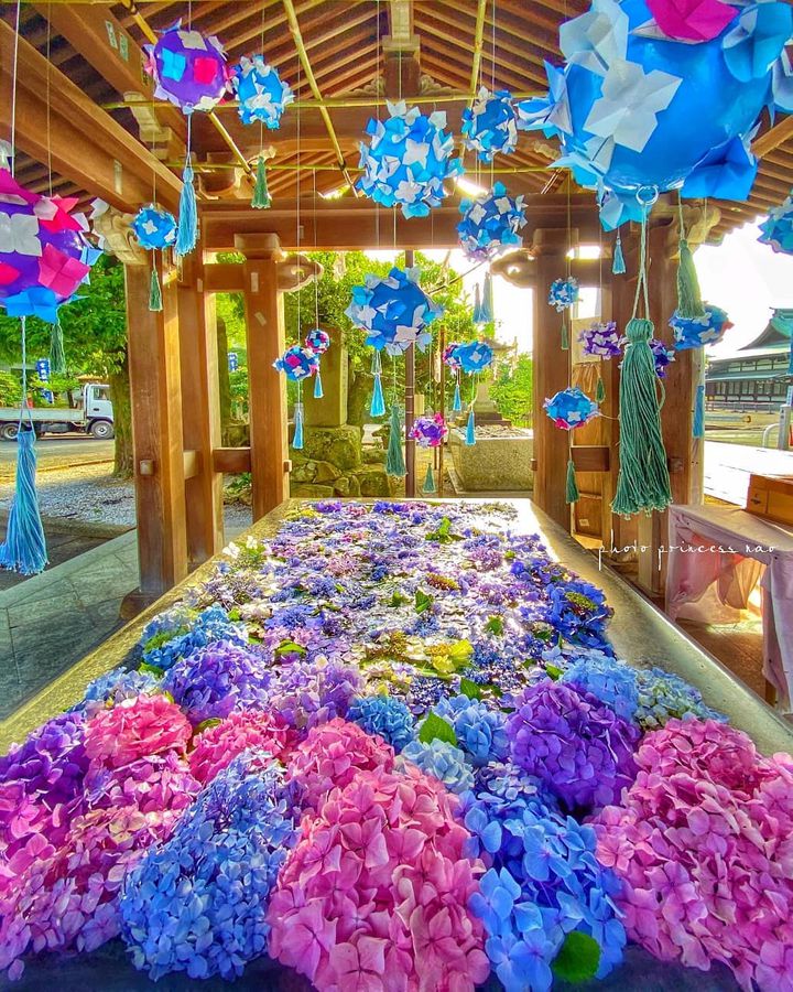 初夏のお出かけどこに行く Retrip福岡の今週のおすすめスポット6選 Retrip リトリップ