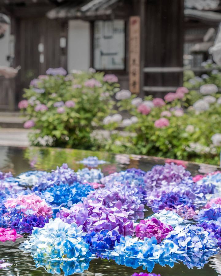 終了 7月しょっぱな ここ行こう 関西地方で今週したいこと6選 Retrip リトリップ