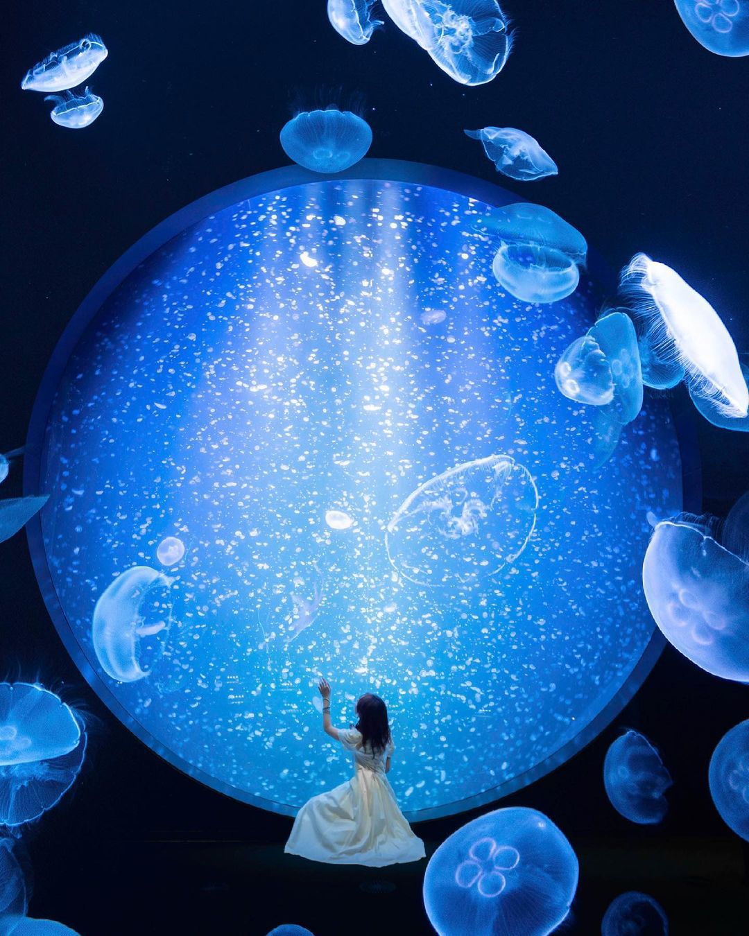 22最新 北海道 東北地方の人気水族館ランキングtop30 Retrip リトリップ