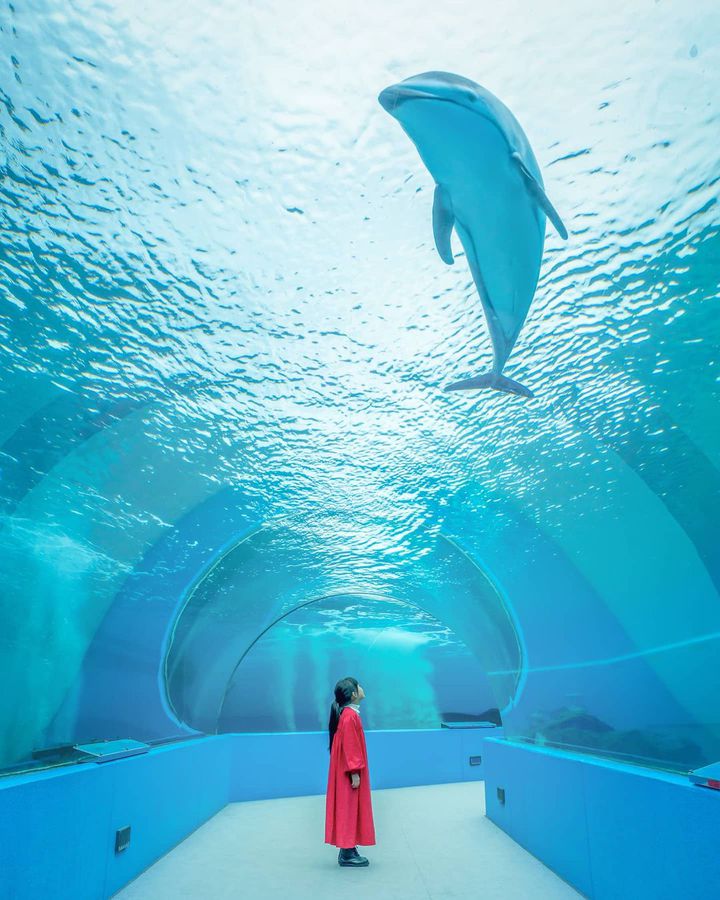 金沢だけじゃない 石川県の人気観光スポット 金沢エリア以外で厳選10選 Retrip リトリップ