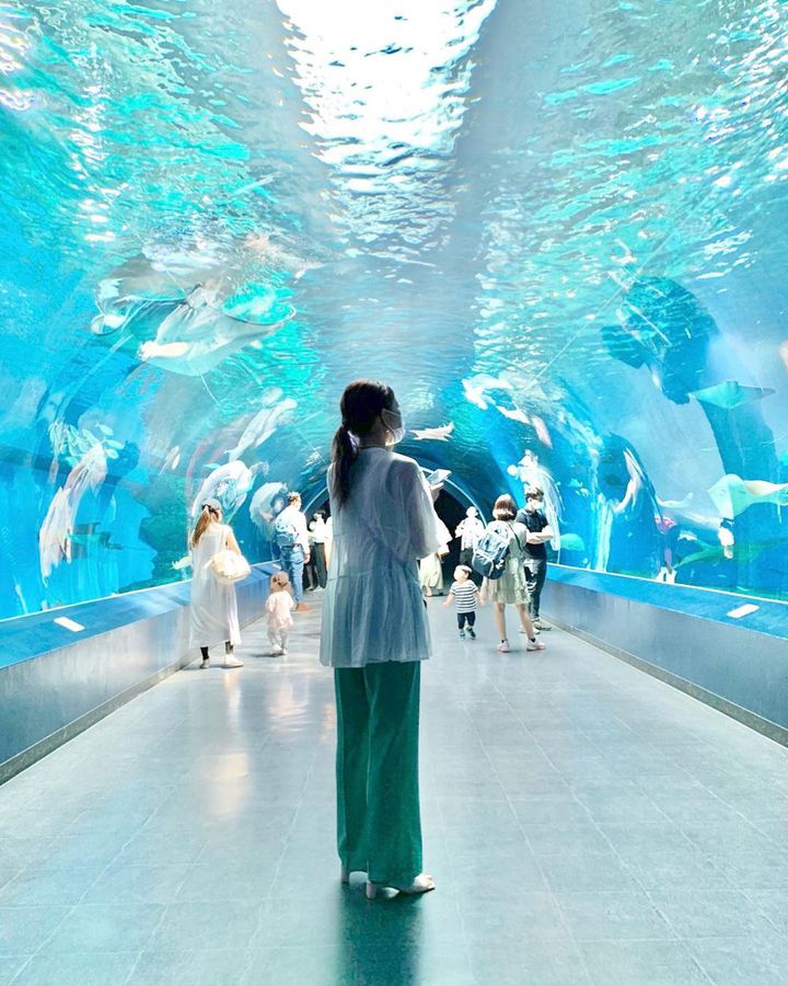 どこも同じだと思ってない 行くべき東京近郊でおすすめしたい水族館11選 Retrip リトリップ