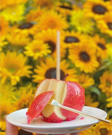 終了 ついに名古屋初上陸 りんご飴専門店 代官山candy Apple 期間限定オープン Retrip リトリップ