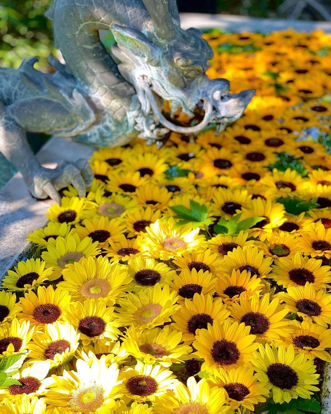 もうすぐ8月も終わり。この夏を遊びきる3つの提案 RETRIP[リトリップ]