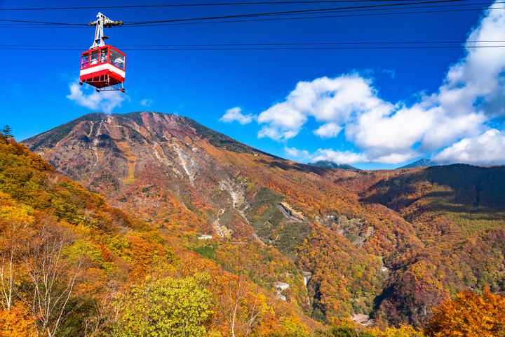 紅葉 プロフ必読さん 確認用 紅葉 プロフ必読さん 確認用 紅葉 プロフ必読さん 確認用 - メルカリ