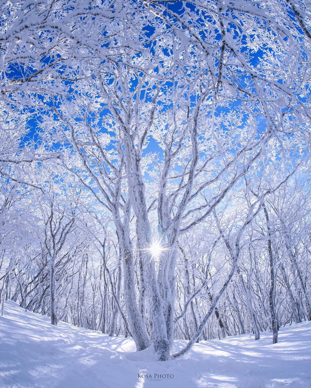 雪の降る日に見たい景色。RETRIP日本の今週のおすすめスポット7選 
