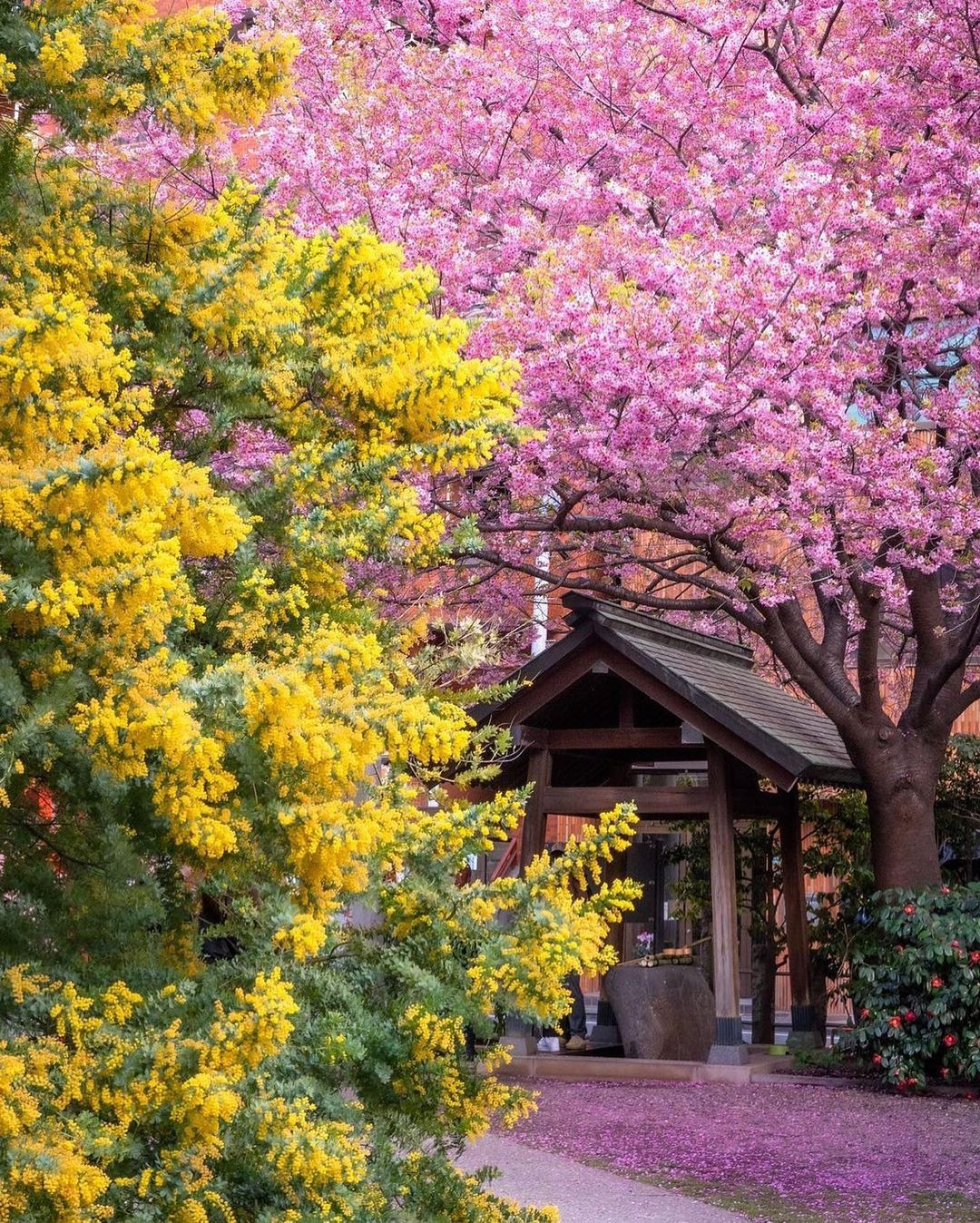 藏 前 神社