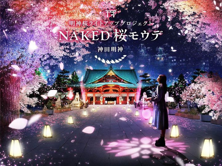 【終了】夜桜ライトアップ「NAKED桜モウデ」隠れ花見スポット・神田明神で夜のお花見を。