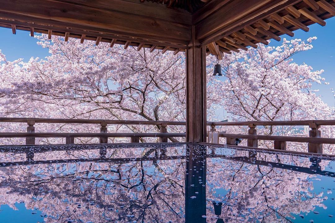 ジョン・ラッテンベリー　絶景　春 絶景 春/ジョン・ラッテンベリー(デジタルアート) 2025年最新ジョン