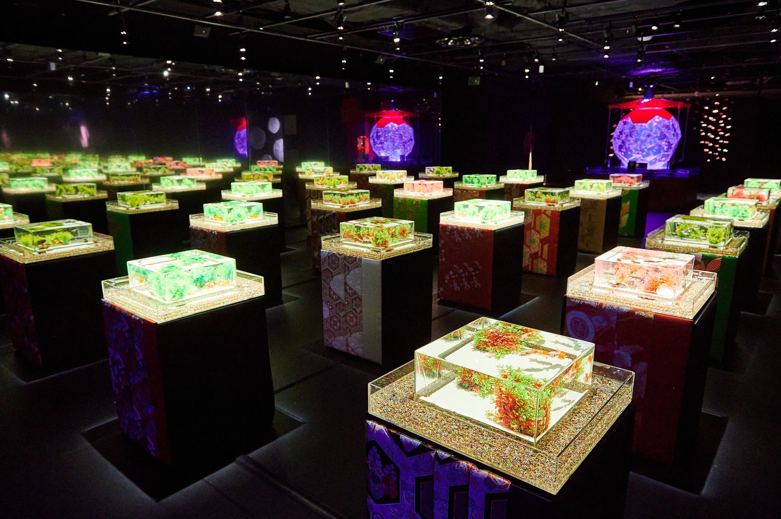 華やかな幻想世界を楽しむ 銀座三越にて アートアクアリウム美術館 Ginza オープン Retrip リトリップ