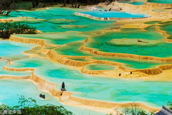 サルート D75/M 17G 黄龍 青白 世界遺産 