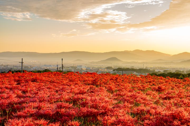 【終了】秋のトレンドを先取り。関西地方で開催される9月イベントまとめ