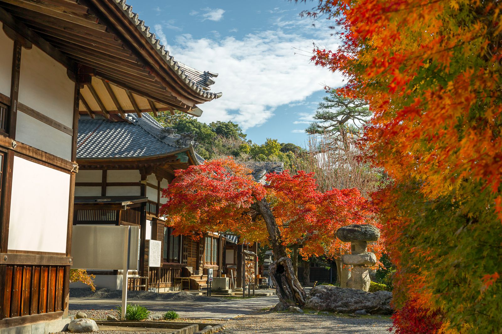 寒空の下、日本の風物詩に触れる旅へ。静岡の紅葉名所『遠州三山』の魅力あふれる絶景ツアーって? | くふうトリップ(旧RETRIP)