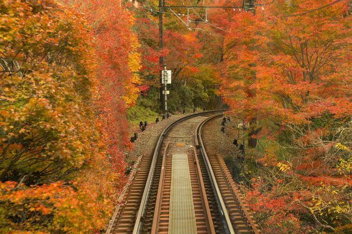 紅葉ライトアップに秋花火 関西地方で11月に行きたいイベントまとめ Retrip リトリップ