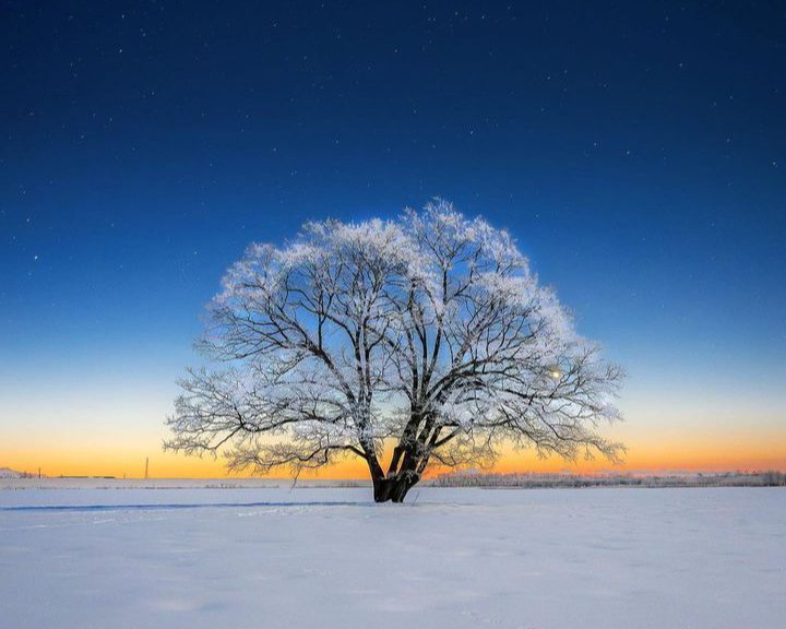 ただの冬景色じゃない。ここでしか見られない雪・氷の神秘スポット8選