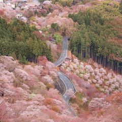 137632a554d28f-0351-4ab3-ab93-