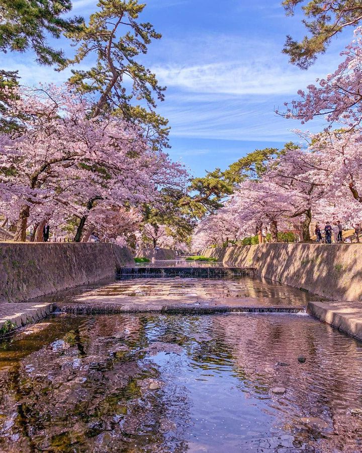 4月のお出かけはここに決まり！RETRIP日本が選ぶ春の全国絶景スポット
