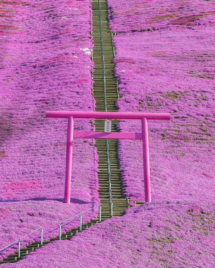 4月のお出かけはここに決まり！RETRIP日本が選ぶ春の全国絶景スポット