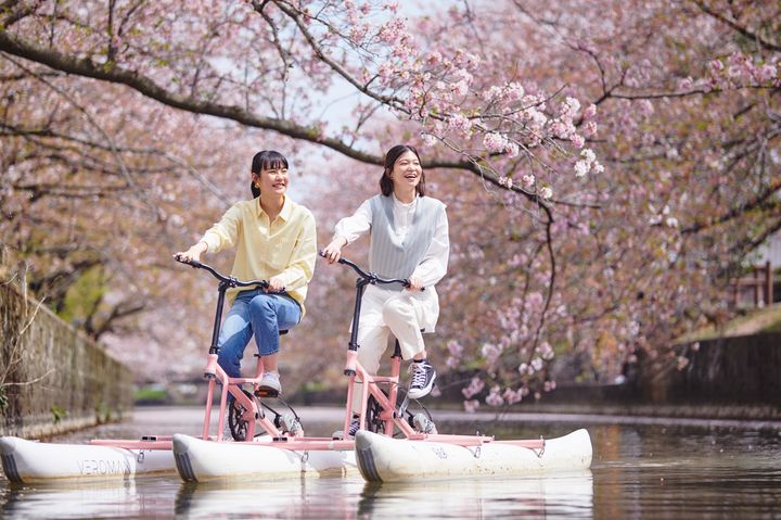 終了】桜の絶景を川面から独り占め!「お花見水上サイクリング」開催
